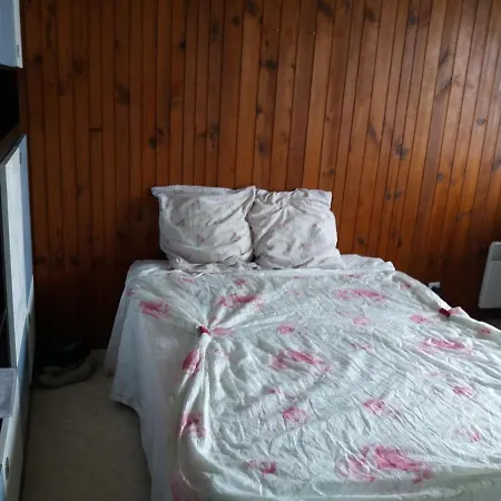 Apartment Aux Pieds Des Pistes Besse-et-Saint-Anastaise